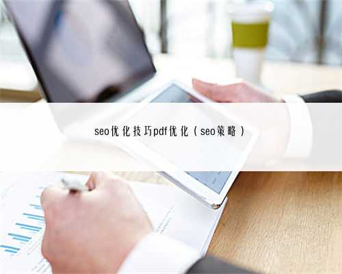 seo优化技巧pdf优化（seo策略）