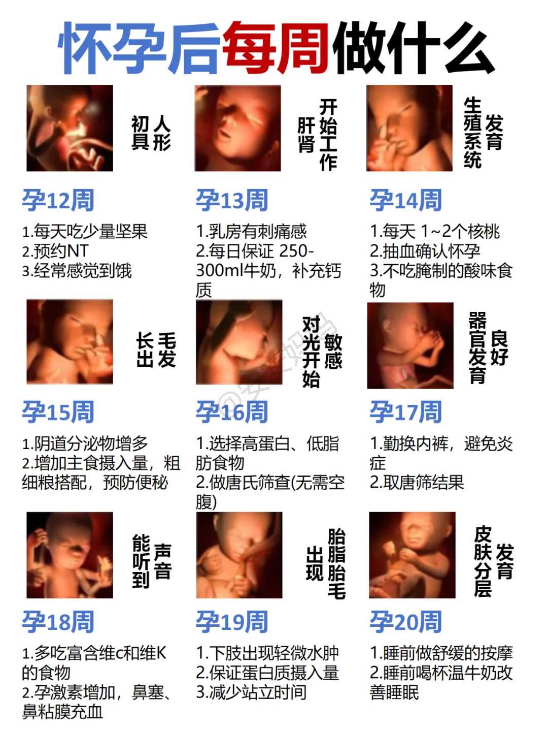 包生儿子多少钱黄体期促排优缺点？