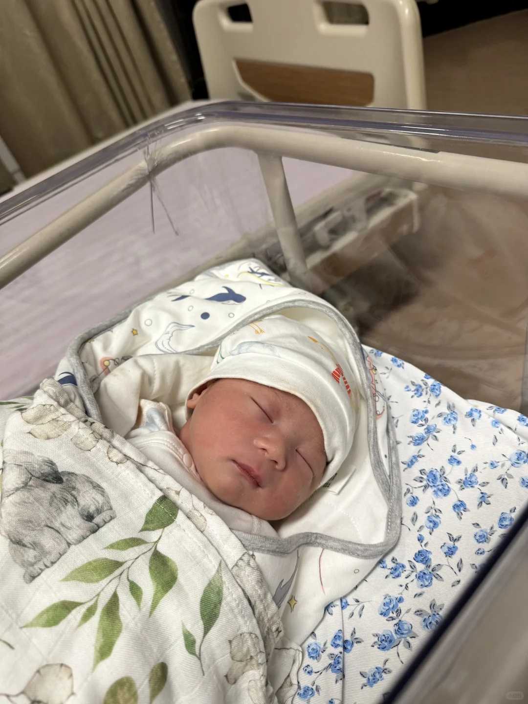 试管包男孩的国家+3次促排卵均是母细胞不成熟？