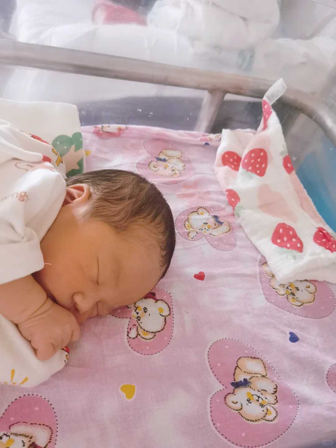 国内代怀生子_卵泡很多可以做试管吗_卵泡很多可以促排吗