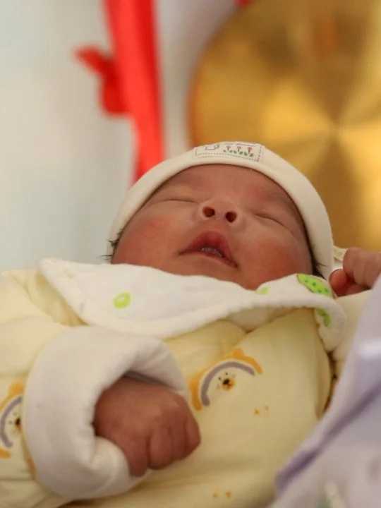 包生男孩代怀网+卵泡早排可以做试管吗？