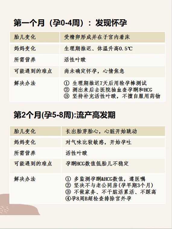 高龄做石家庄第三代借卵试管价格是多少，最新价目表！