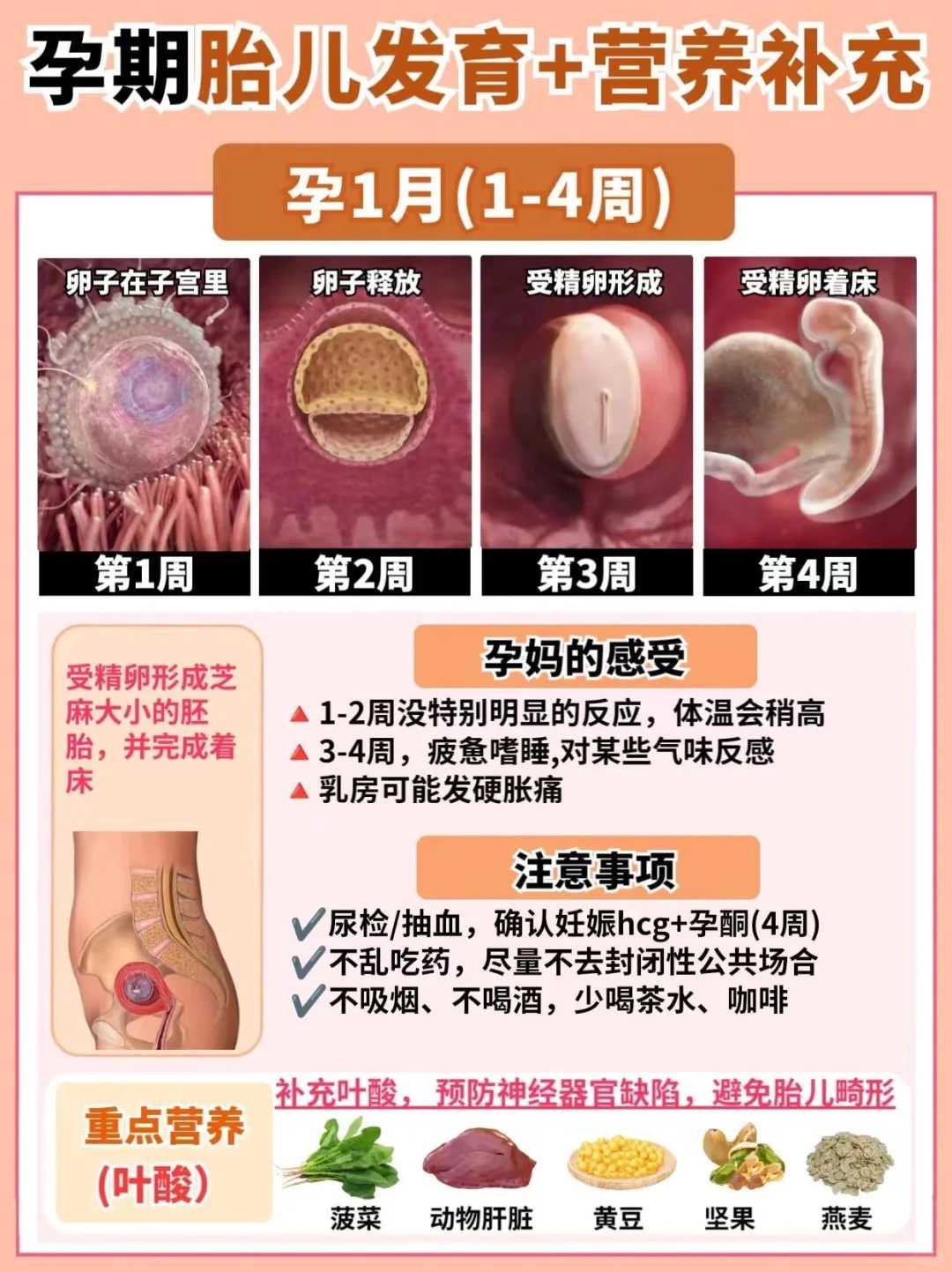 永州比较大的助孕机构(永州专业助孕医院推荐)